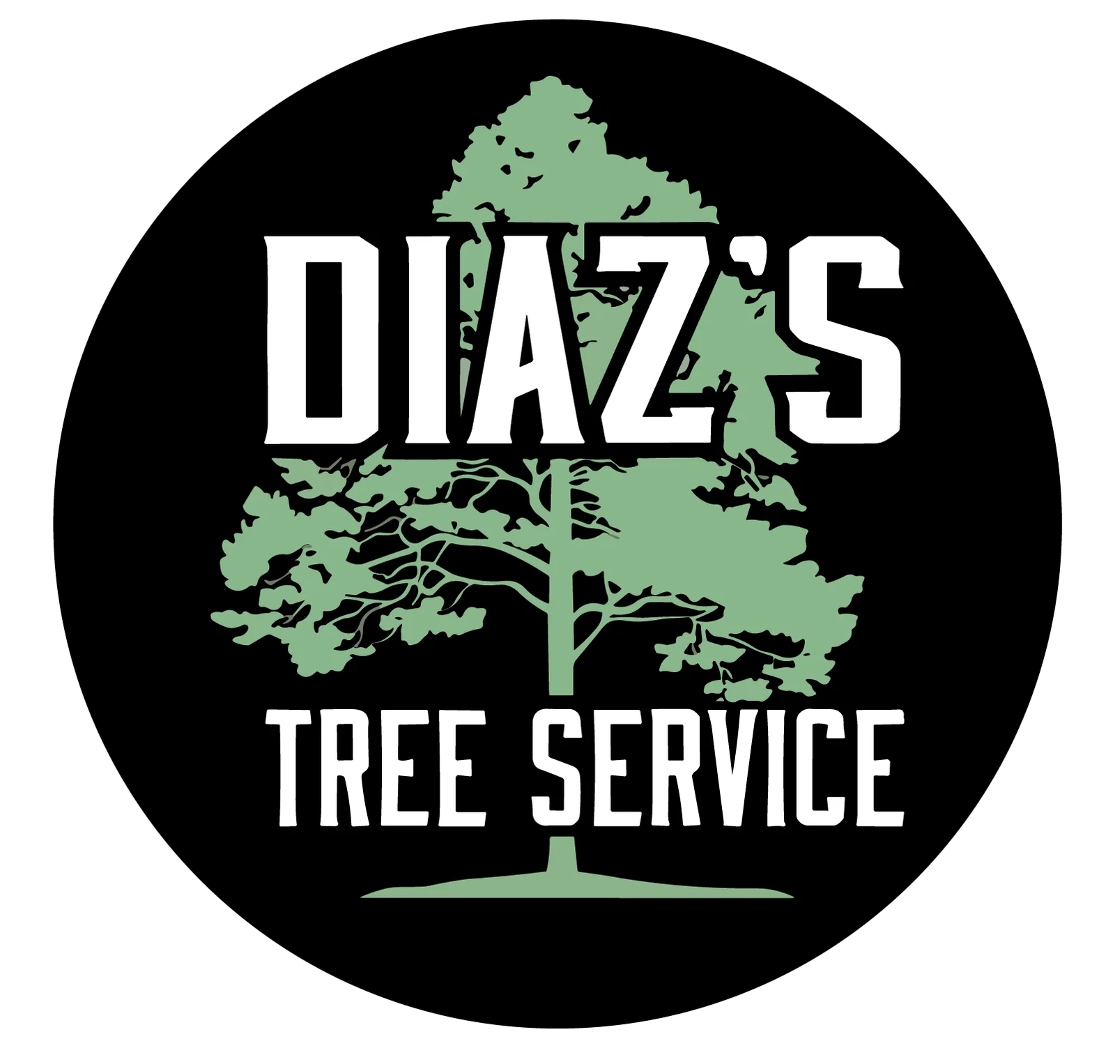 Raul Diaz Logotipo 01